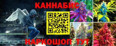 мдпв Донской